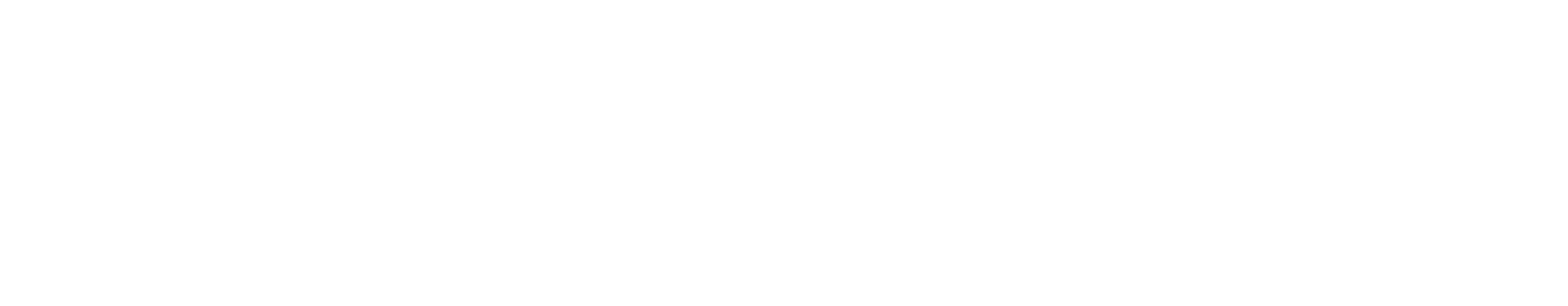 white APAC Cybersecurity Fund logo